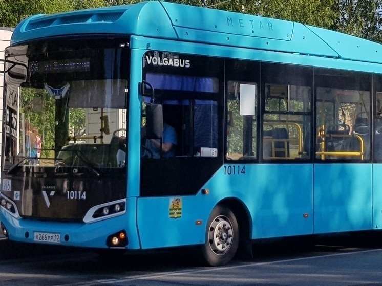 Пожаловаться на работу водителей автобусов в Петрозаводске можно по телефону