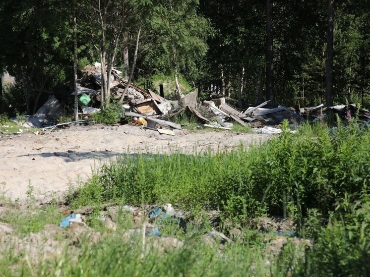 В Ноябрьске с нелегальных свалок вывезли 3 тысячи кубометров мусора
