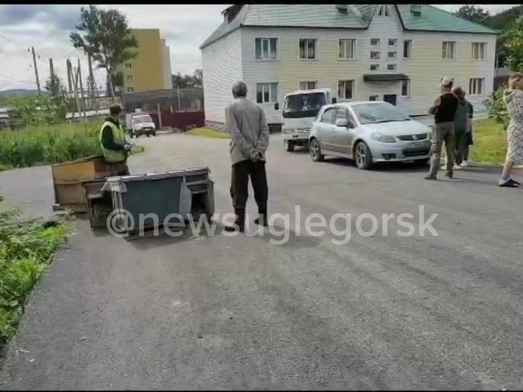 «Кидала еду из мисок в соседку»: драка из-за бездомных собак произошла в Углегорске