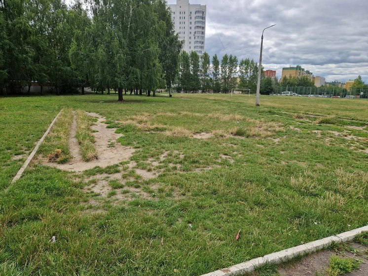 Курская школа №59 получит 900 тысяч рублей на строительство спортплощадки