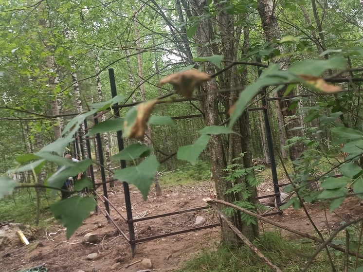 Рабочие озаборивают лес для парка динозавров в Петрозаводске
