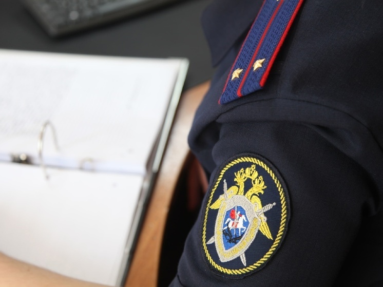 СК и прокуратура заинтересовались видео с избиением подростка, снятым на видео