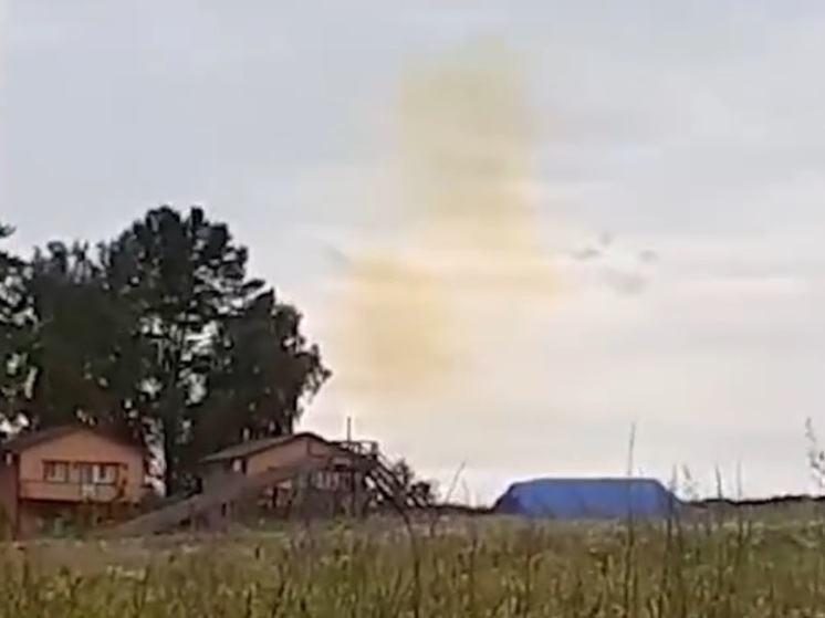 Жителей деревни под Алексином напугали громкий хлопок и жёлтое облако