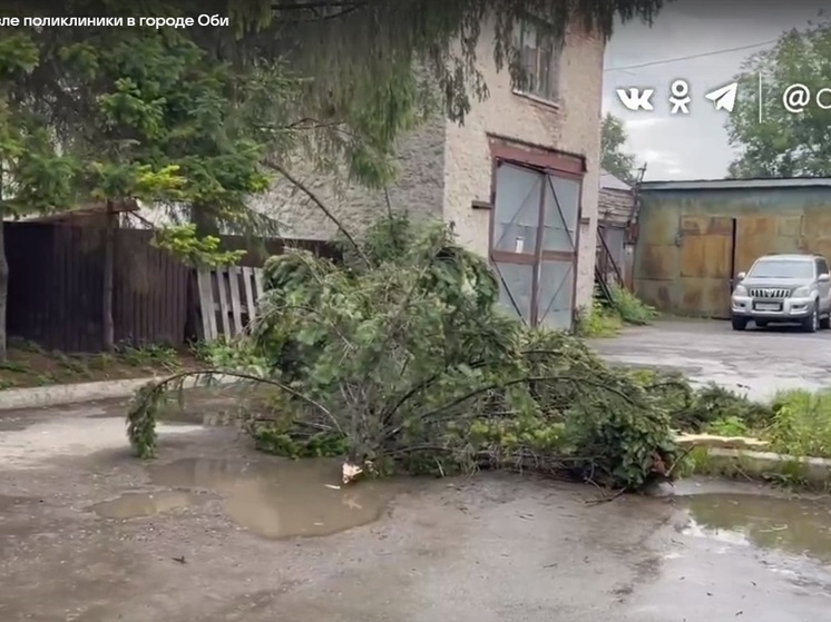 Под Новосибирском молния срубила дерево рядом с поликлиникой