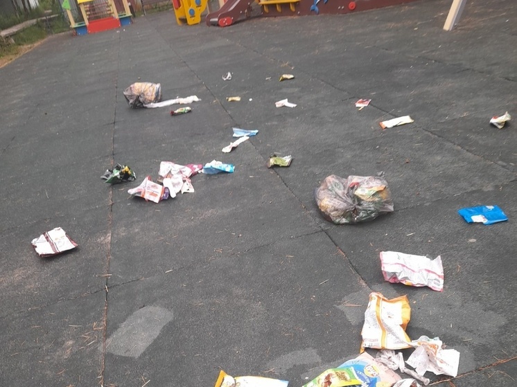 Неизвестные замусорили детскую площадку в городе горняков Карелии