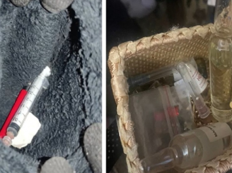 В Новосибирске задержали организаторов семейного наркопритона