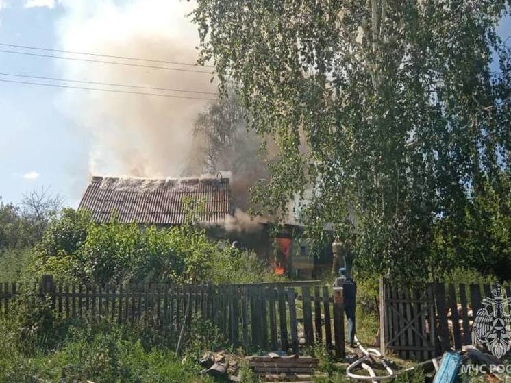 Высокая пожароопасность сохраняется в Алтайском крае