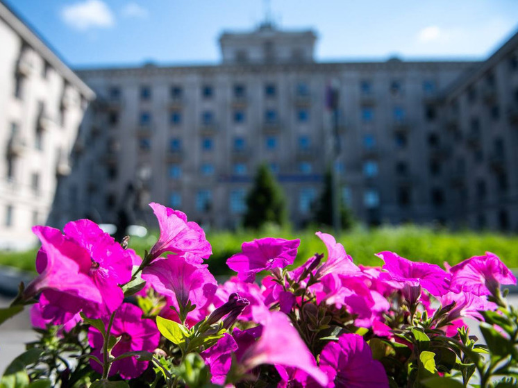 В Мурманске высадили 168 тысяч цветов