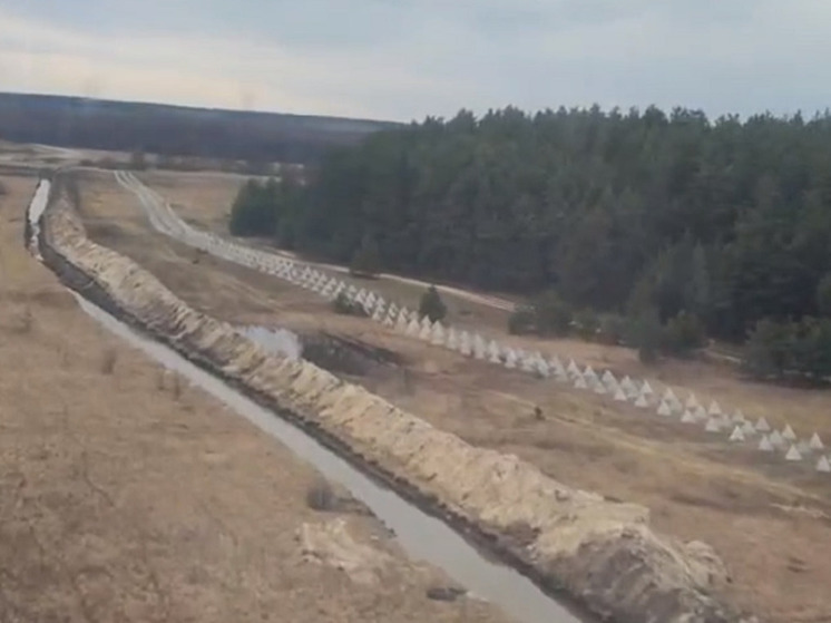 Семьям погибших в приграничных регионах при создании укреплений выплатят по 5 млн рублей