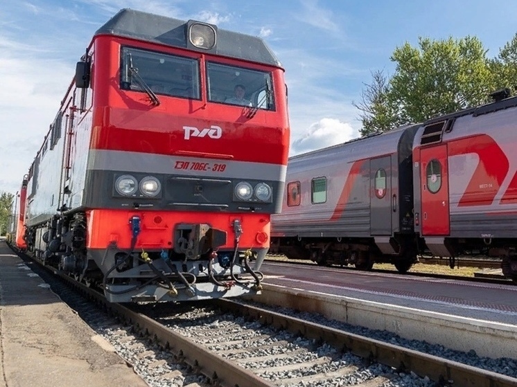 Поезд санкт петербург новосокольники