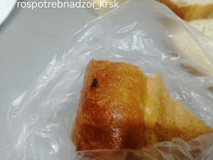 Роспотребнадзор Красноярского края рассказал, что делать при покупке хлеба с мухой
