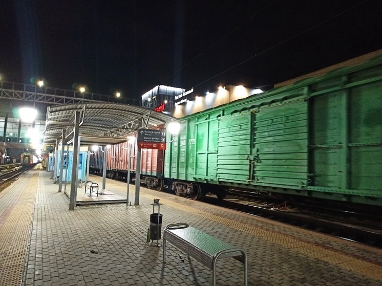 В Ростовской области поезд сбил насмерть 39-летнего пешехода