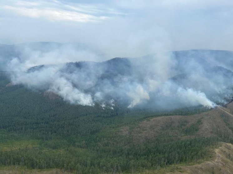В районе Башкирии сняли режим чрезвычайной ситуации из-за лесного пожара