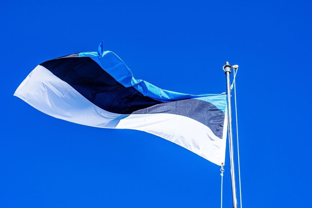 день независимости эстонии