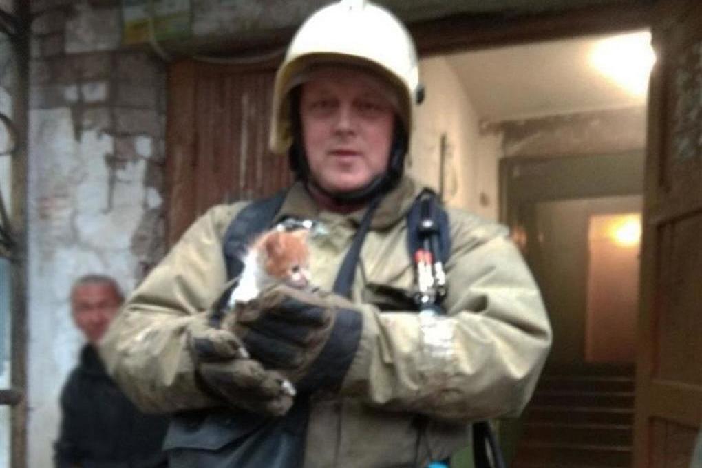 Все жизни важны: костромские пожарные спасли надышавшегося дымом котенка