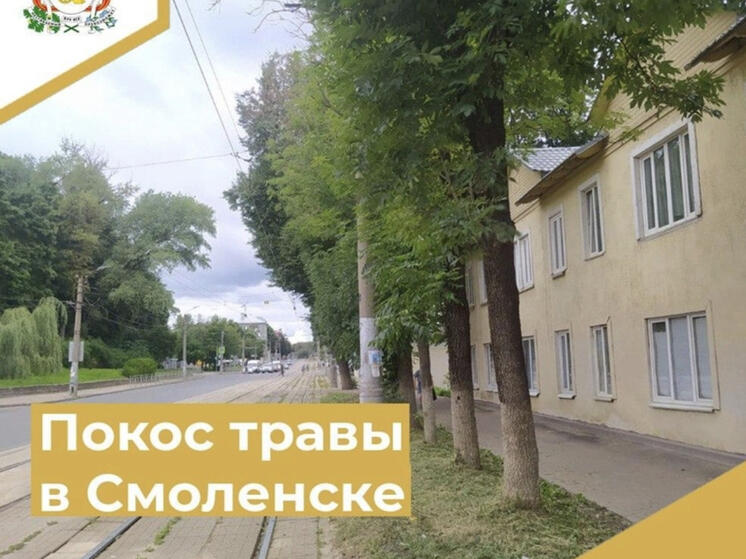 В Смоленске полным ходом идет  покос травы