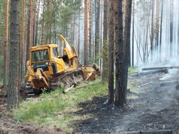 Глава района Башкирии поблагодарил всех, кто тушил крупный лесной пожар