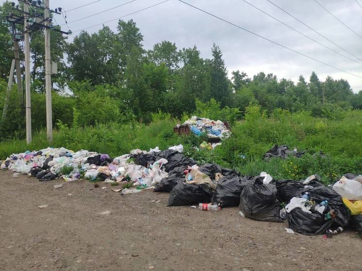 В Кемерове ликвидировали свалку на Красном озере