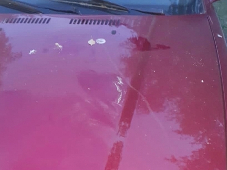 В Омске пьяный мужчина лопатой повредил несколько автомобилей