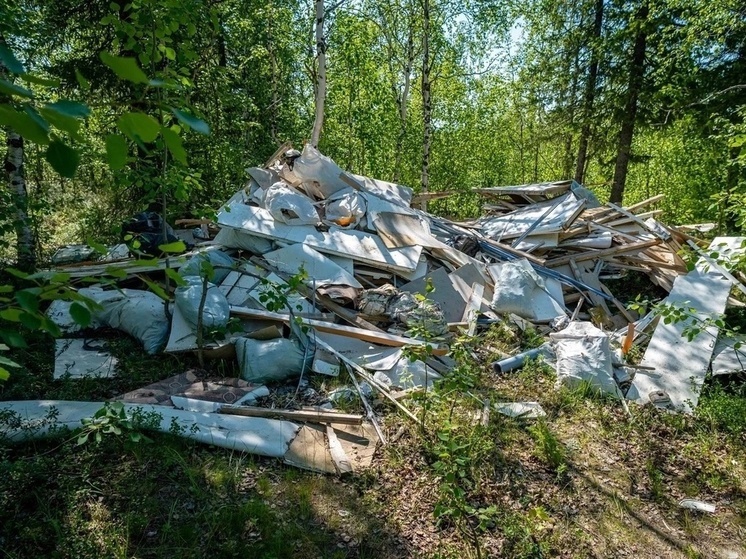 Нарушителей поймают фотоловушки: в Салехарде вывезли 14 тонн строительного мусора с нелегальной свалки