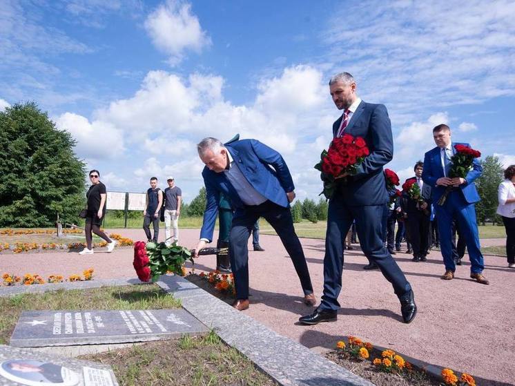 На Невском пятачке снова начали расти деревья со времен ВОВ