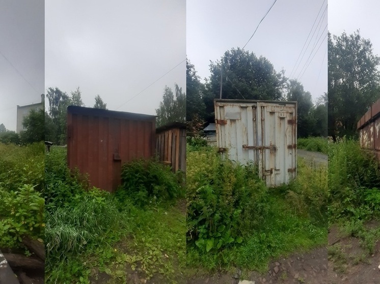 Власти Петрозаводска намерены покончить с незаконными гаражами на Зареке