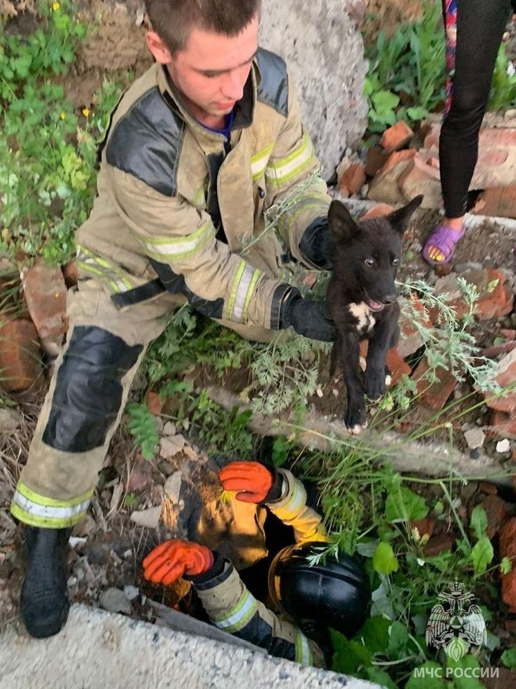 Кузбасские пожарные спасли маленькую жизнь
