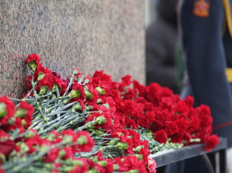 Бойца СВО из Мошенского района посмертно наградили за мужество