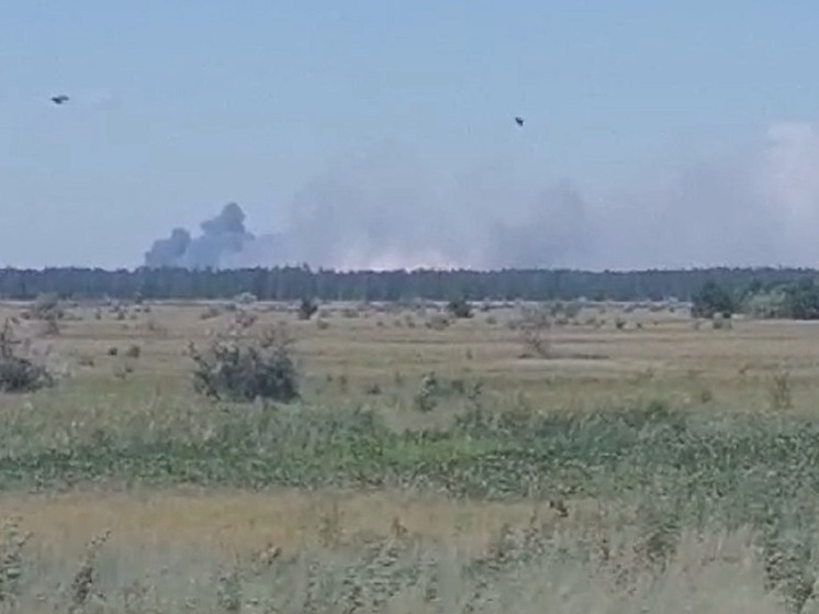 Крупный лесной пожар разгорелся в Михайловском районе