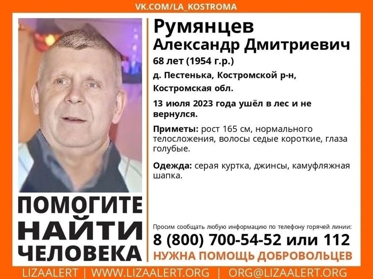 В Костромском районе разыскивают пропавшего 68-летнего грибника
