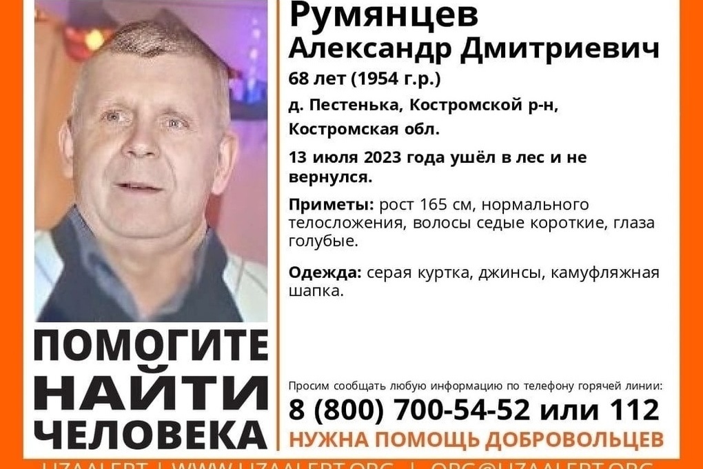 В Костромском районе разыскивают пропавшего 68-летнего грибника
