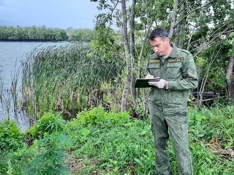 В пруду Красноармейского района нашли труп рыбака