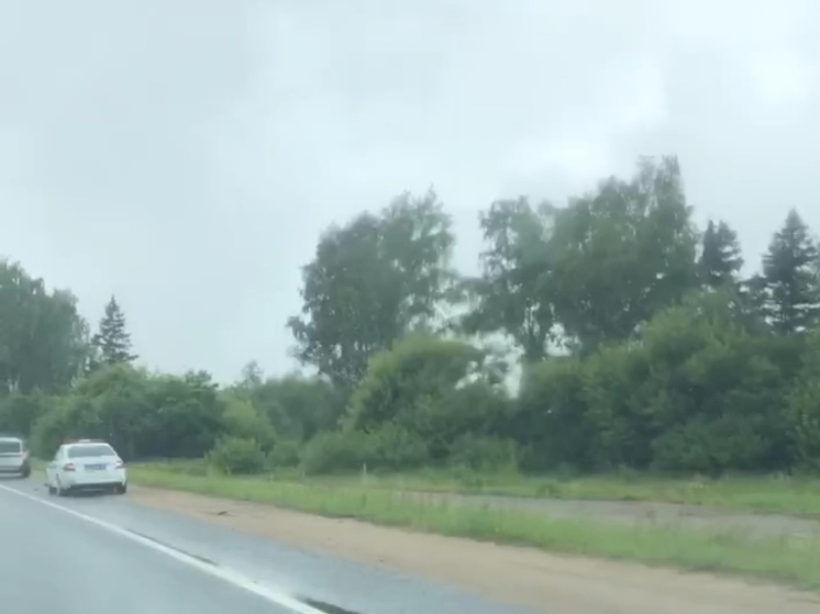 На трассе А-108 под Дмитровом в результате ДТП погиб лось