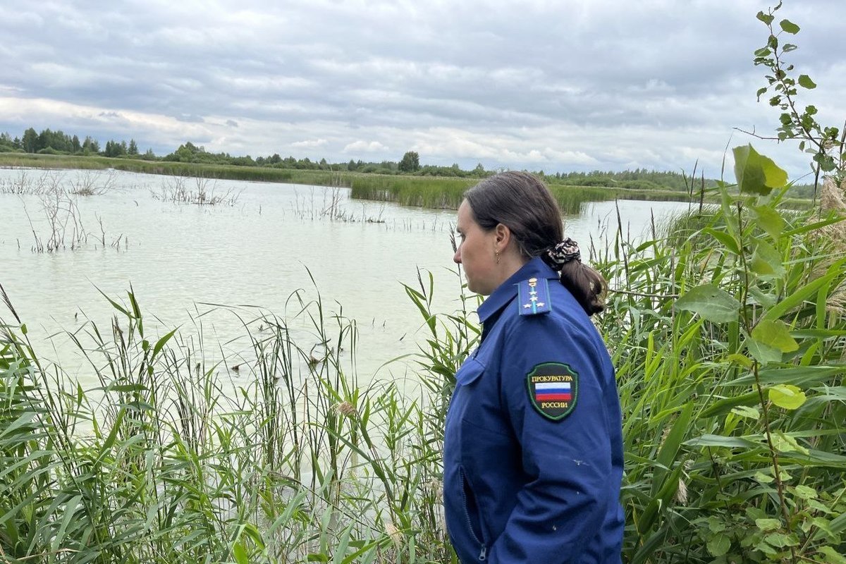 Тульская природоохранная прокуратура проверяет качество пруда у села  Люторичи - МК Тула