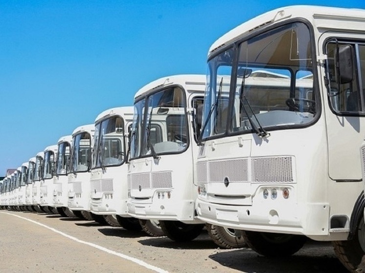 В Ингушетии до конца года заменят 80% парка общественного транспорта