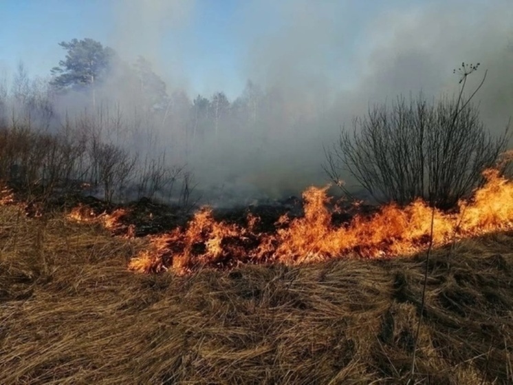 В Шурышкарском районе горят 9 гектаров леса