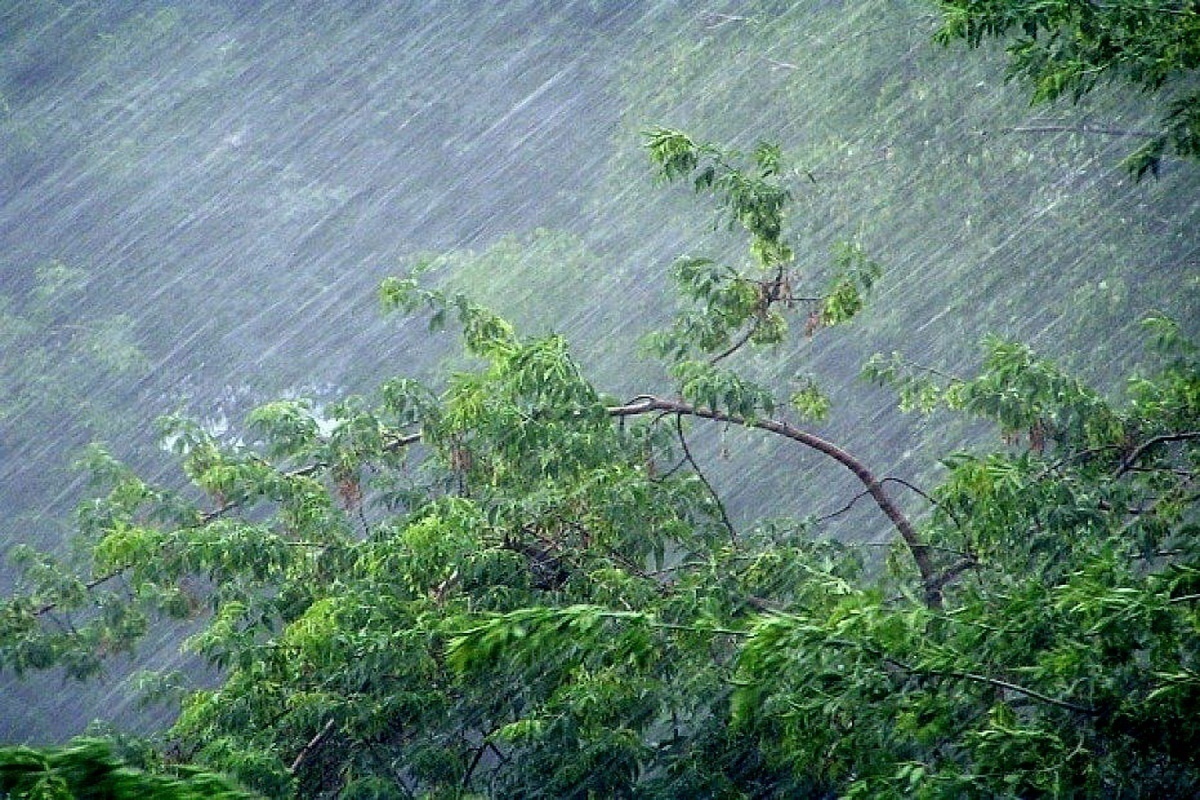 В Костромской области ждут грозу, дождь и сильный ветер