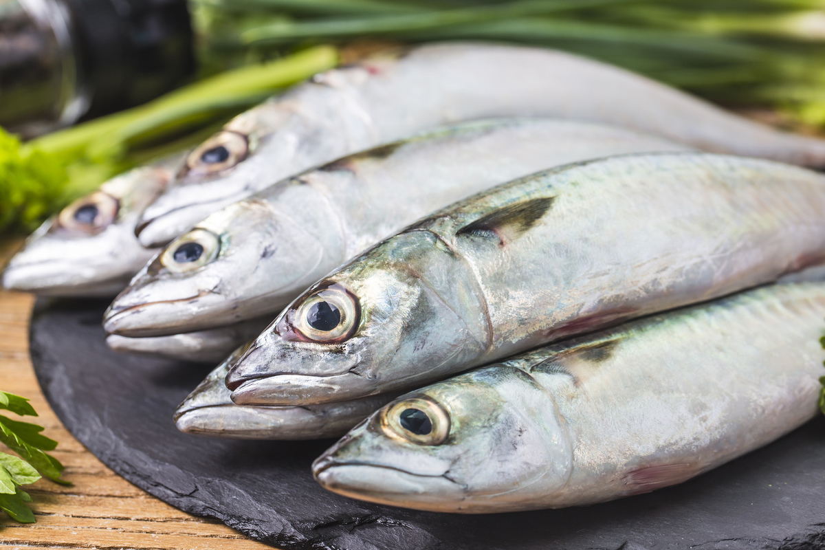 Из скумбрии можно приготовить эту вкуснятину: обязательно попробуйте рецепт  блюда - МК Калмыкия