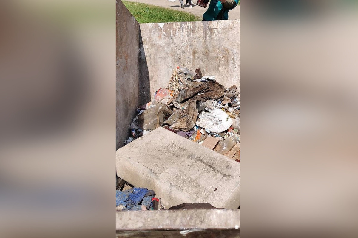 В поселке Заливино очистили берег Куршского залива и собрали 12 кубометров мусора