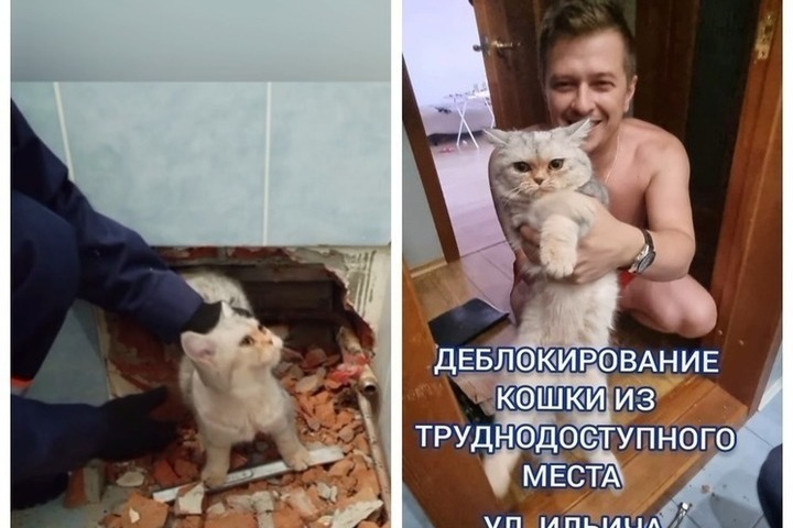В Новосибирске для спасения кошки разобрали стену в ванной комнате