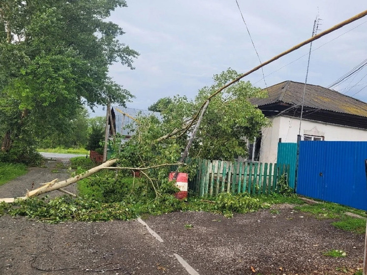 В новосибирской области без света и воды остались жители Болотнинского района из-за сильного ветра