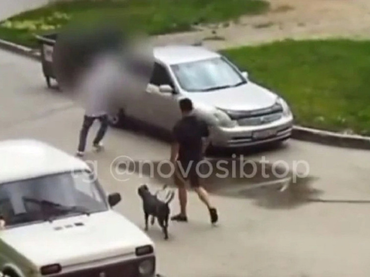 В Новосибирске мужчина пнул чужой автомобиль и спрятался на козырьке подъезда