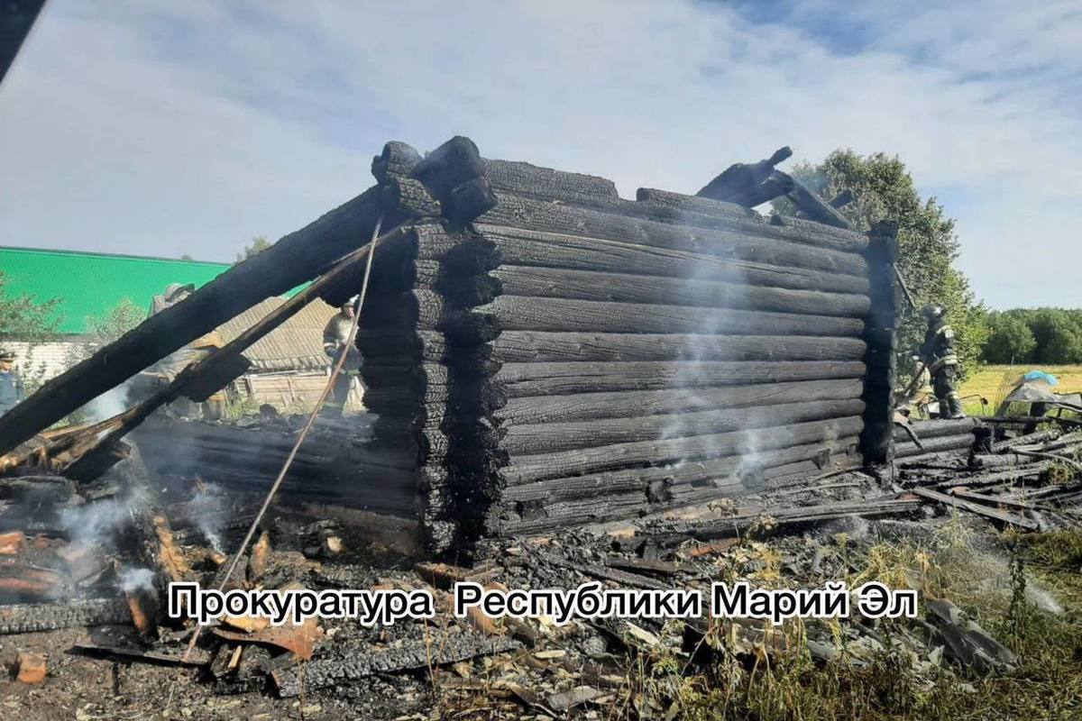 На пожаре в Волжском районе Марий Эл погиб человек - МК Йошкар-Ола