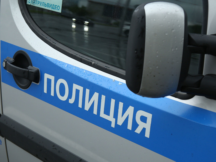 В Подольске ищут злоумышленников, напавших на сотрудника полиции