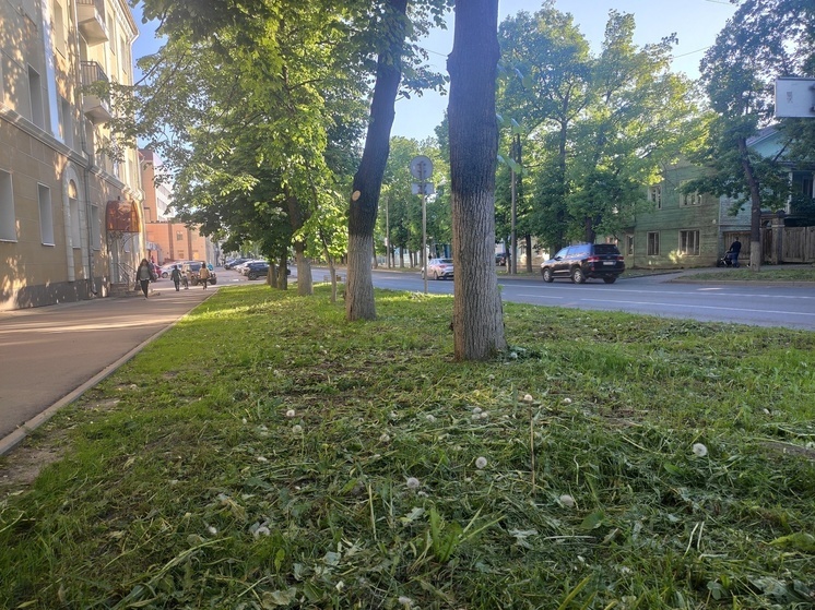 Часть неразграниченных территорий покосят в Вологде