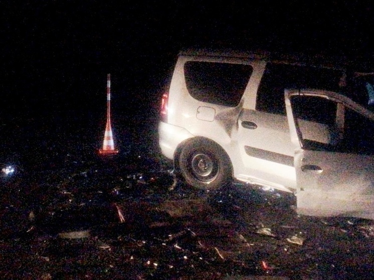Пять человек пострадали в ДТП на трассе Омск-Русская Поляна