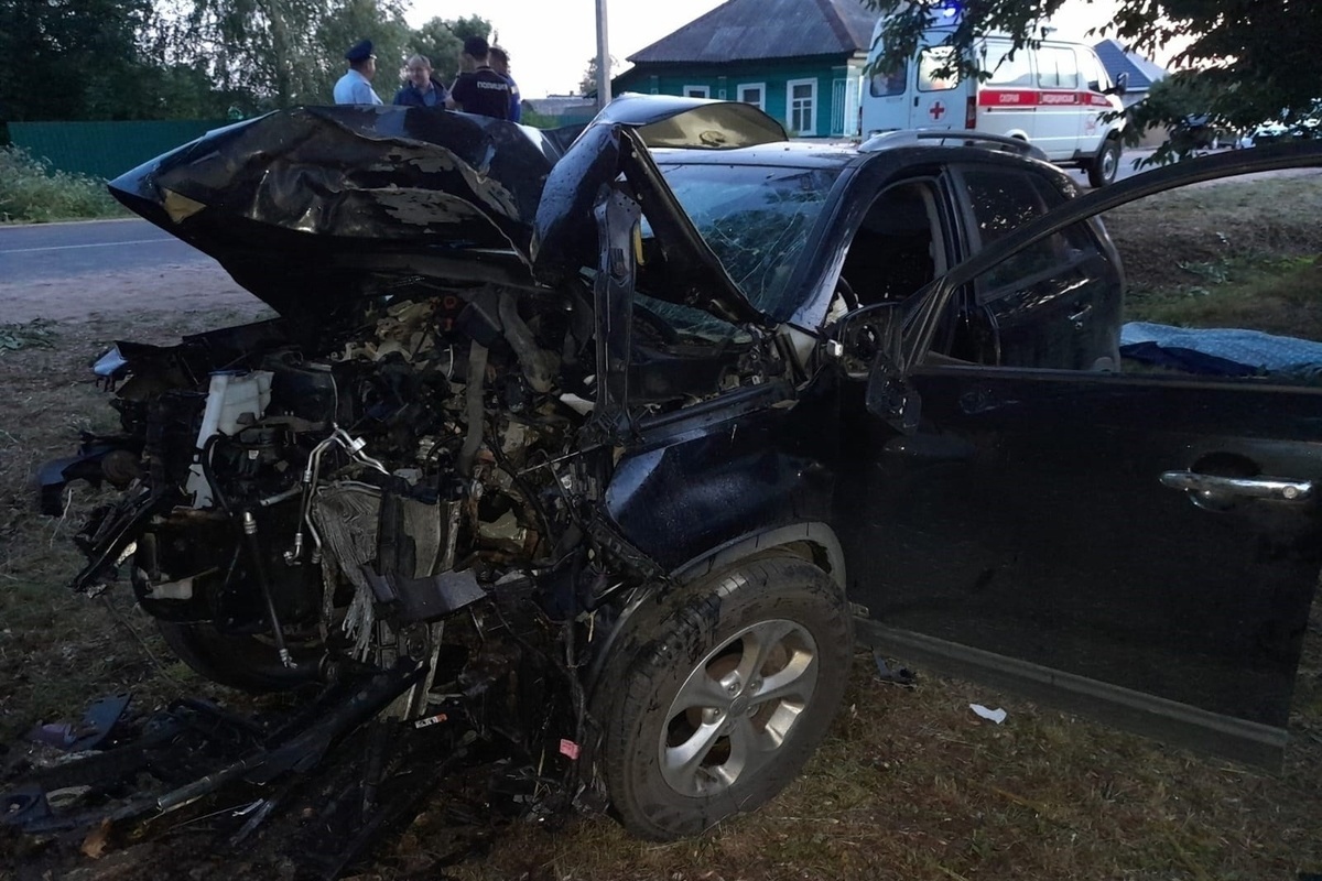 В Тверской области Kia влетела в дерево на обочине: погибли два человека