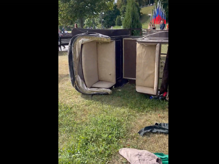 В Ярославле из-за психанувшей лошади пострадали три человека