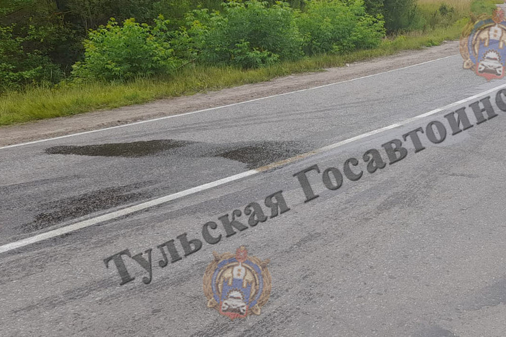 На проезжей части в Щёкинском районе перевернулся 38-летний мотоциклист