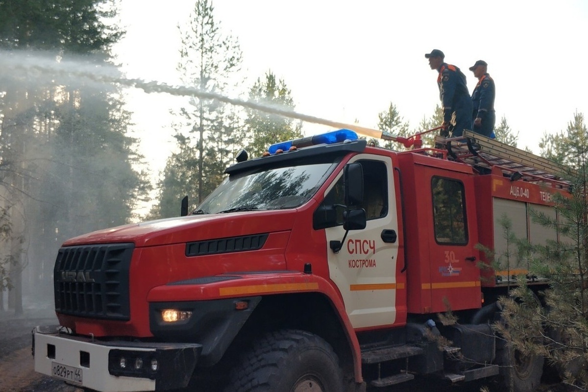 В Красносельском районе костромские огнеборцы тушат лесной пожар